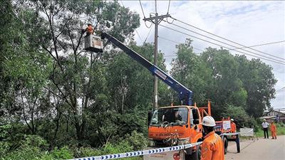 Chủ động ứng phó với áp thấp nhiệt đới có khả năng mạnh lên thành bão