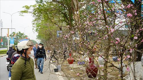 Thời tiết ngày 14/2: Nhiều khu vực trên cả nước có nắng