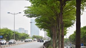 Thời tiết ngày 13/3: Nhiều khu vực có nắng