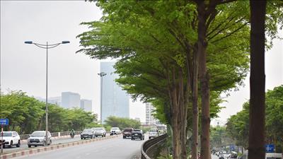 Thời tiết ngày 13/3: Nhiều khu vực có nắng