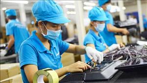 Chính phủ ban hành nghị định về thuế tối thiểu toàn cầu