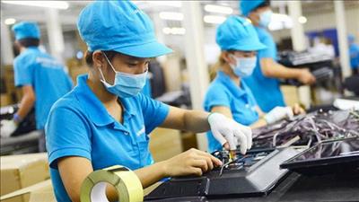 Chính phủ ban hành nghị định về thuế tối thiểu toàn cầu