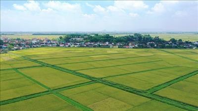 Chính phủ ban hành quy định về đối tượng được miễn thuế sử dụng đất nông nghiệp