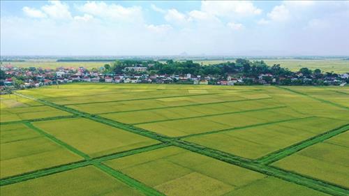 Chính phủ ban hành quy định về đối tượng được miễn thuế sử dụng đất nông nghiệp