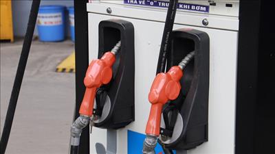 Giảm thuế bảo vệ môi trường, giá trị gia tăng và tiêu thụ đặc biệt đối với xăng, dầu