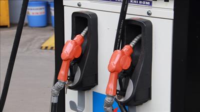 Triển khai giảm thuế xăng, dầu theo Nghị quyết của Quốc hội