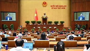 Quốc hội thống nhất tiếp tục miễn thuế sử dụng đất nông nghiệp đến hết năm 2030