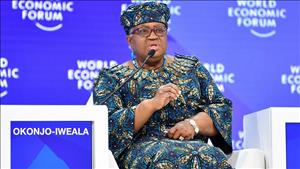 WTO: Thương mại toàn cầu đối mặt khủng hoảng nghiêm trọng nhất trong 80 năm qua