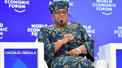 WTO: Thương mại toàn cầu đối mặt khủng hoảng nghiêm trọng nhất trong 80 năm qua