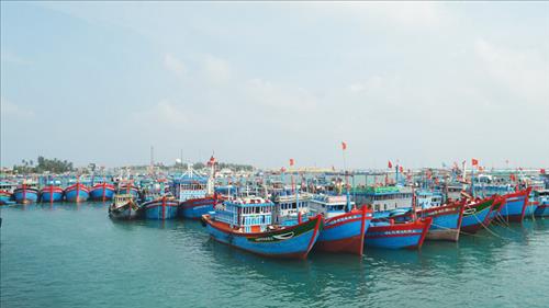 Tăng cường công tác chống khai thác thủy sản bất hợp pháp, không báo cáo, không theo quy định