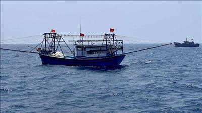 Ban hành kế hoạch tháng cao điểm chống khai thác IUU, phát triển bền vững ngành thủy sản