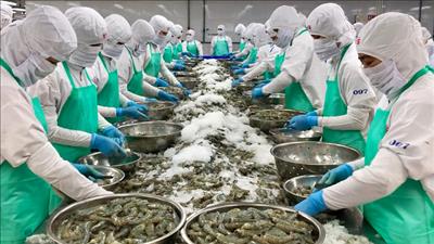 Xuất khẩu thủy sản năm 2025 vượt mốc 11 tỷ USD