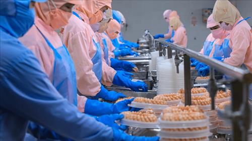 Ngành thủy sản đặt mục tiêu xuất khẩu đạt 11,5 tỷ USD trong năm 2026