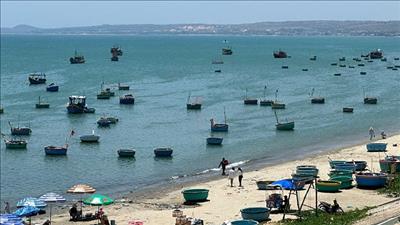 Quyết tâm gỡ cảnh báo “thẻ vàng” đối với thủy sản Việt Nam