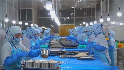 Xuất khẩu thủy sản quý I/2026 đạt 2,64 tỷ USD, tăng 8%