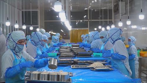 Xuất khẩu thủy sản quý I/2026 đạt 2,64 tỷ USD, tăng 8%