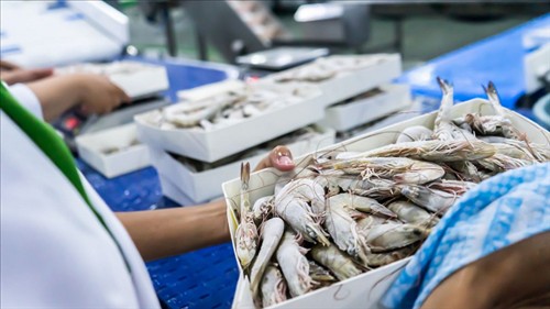 Quy định chứng nhận thủy sản, sản phẩm thủy sản xuất khẩu vào thị trường Hoa Kỳ