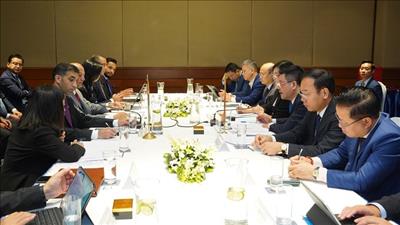 Việt Nam và UAE thống nhất hợp tác kinh tế, thương mại, năng lượng