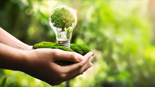 Phát động cuộc thi viết về chủ đề tiết kiệm điện