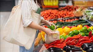 Thực hiện Chương trình hành động quốc gia về sản xuất và tiêu dùng bền vững năm 2026