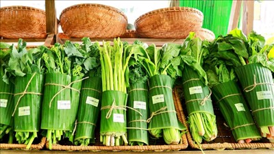Nâng cao trách nhiệm, thúc đẩy tiêu dùng bền vững