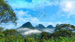 Thúc đẩy thành lập sàn giao dịch tín chỉ carbon