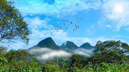 Thúc đẩy thành lập sàn giao dịch tín chỉ carbon