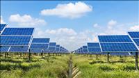Hoàn thiện chính sách phát triển thị trường tín chỉ carbon, thúc đẩy chuyển đổi xanh