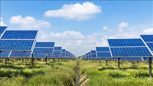 Hoàn thiện chính sách phát triển thị trường tín chỉ carbon, thúc đẩy chuyển đổi xanh