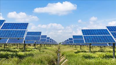 Hoàn thiện chính sách phát triển thị trường tín chỉ carbon, thúc đẩy chuyển đổi xanh