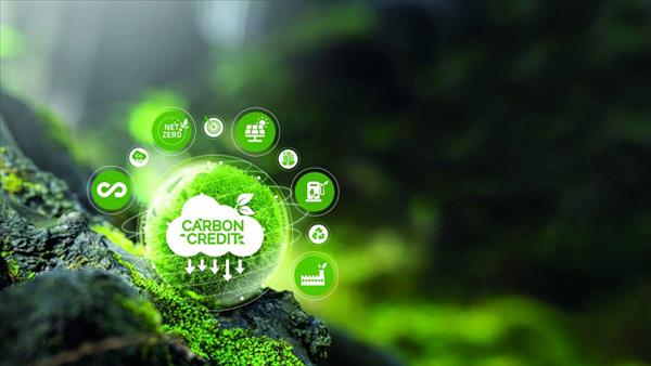 Phát triển thị trường carbon bền vững