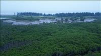 Việt Nam và Singapore ký kết thỏa thuận về chuyển giao tín chỉ carbon