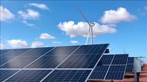 Phát triển thị trường carbon, thúc đẩy doanh nghiệp chuyển đổi xanh