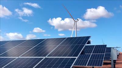 Phát triển thị trường carbon, thúc đẩy doanh nghiệp chuyển đổi xanh