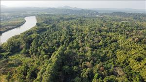 Thụy Sĩ mong muốn mở rộng hợp tác với Việt Nam trong lĩnh vực trao đổi tín chỉ carbon