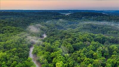 Quy định về trao đổi kết quả giảm nhẹ phát thải khí nhà kính và tín chỉ carbon với đối tác quốc tế