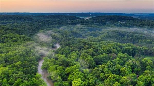 Quy định về trao đổi kết quả giảm nhẹ phát thải khí nhà kính và tín chỉ carbon với đối tác quốc tế