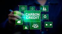 Tăng cường năng lực cho các doanh nghiệp tham gia thị trường carbon