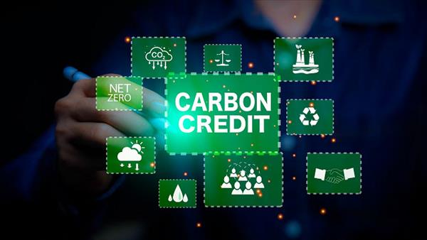 Tăng cường năng lực cho các doanh nghiệp tham gia thị trường carbon