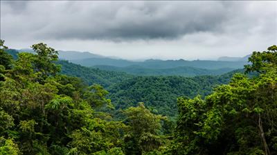 Hỗ trợ doanh nghiệp chủ động tham gia thị trường carbon
