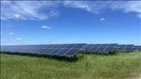 Thiết lập cơ chế giám sát giao dịch hạn ngạch phát thải khí nhà kính, tín chỉ carbon