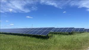 Thiết lập cơ chế giám sát giao dịch hạn ngạch phát thải khí nhà kính, tín chỉ carbon