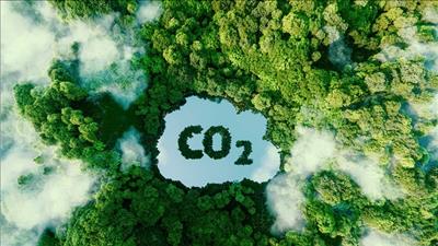 Vận hành thí điểm sàn giao dịch tín chỉ carbon kể từ năm 2025