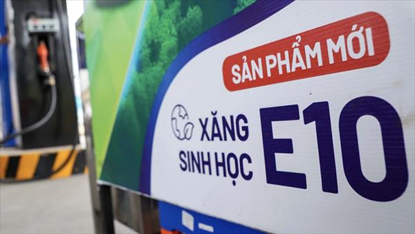 Triển khai lộ trình sử dụng xăng sinh học đồng bộ, an toàn, bảo đảm quyền lợi người tiêu dùng