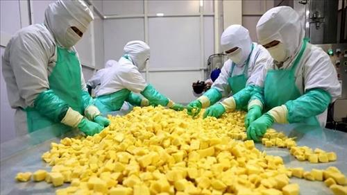Thương mại Việt Nam - Australia hướng tới những động lực tăng trưởng mới