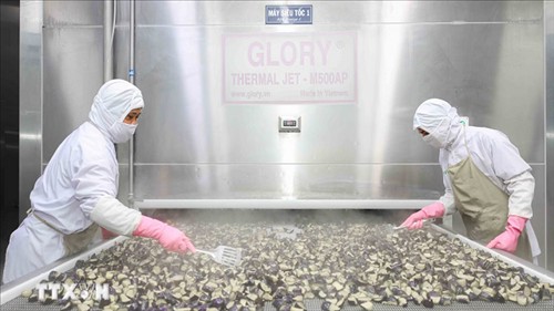 Việt Nam - Liên minh châu Âu nâng tầm hợp tác kinh tế, thương mại