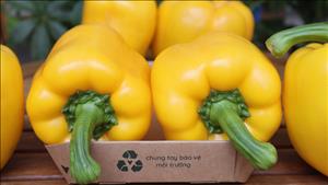 Một số thực phẩm giàu vitamin C hơn cam, chanh