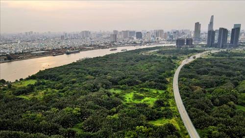 TPHCM thành lập tổ công tác tham mưu thực hiện các nhiệm vụ chuyển đổi xanh
