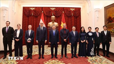 Tổng Bí thư, Chủ tịch nước Tô Lâm tiếp các Đại sứ Đặc mệnh toàn quyền các nước trình quốc thư