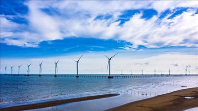 EVNGENCO1 và Vietsovpetro đề xuất đầu tư trung tâm điện gió tại tỉnh Trà Vinh